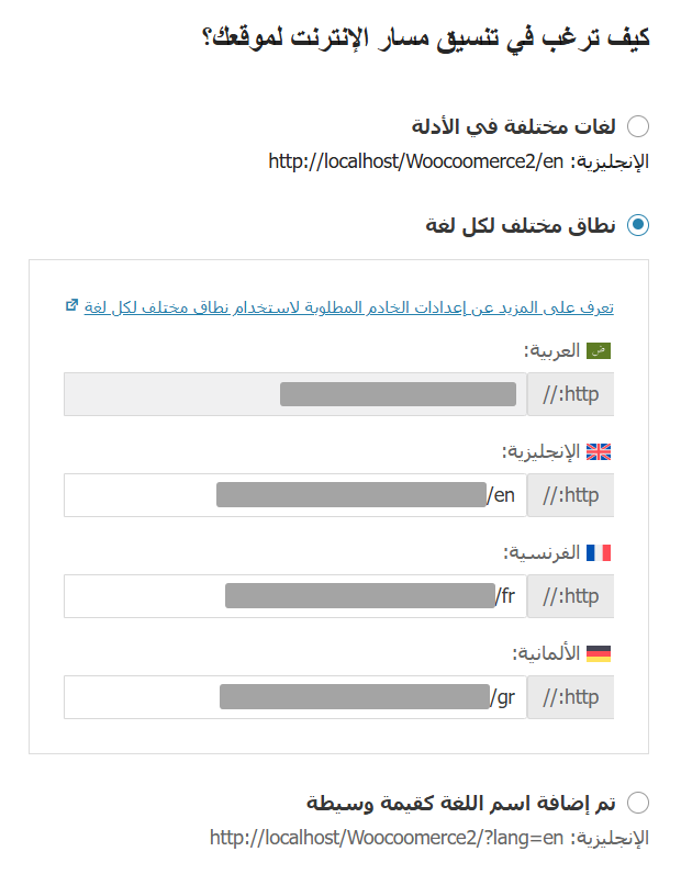 03 - تحديد مسارات اللغة على المتجر في إضافة WPML